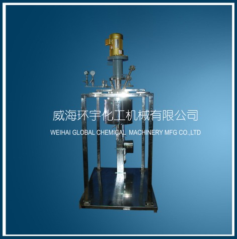 浙江5L Electric Lifting Reactor